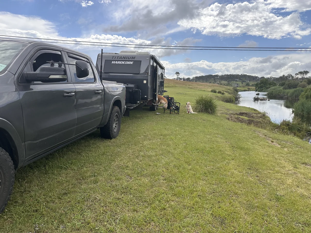 Caravan and ute parked by the river, the dogs out on the grass